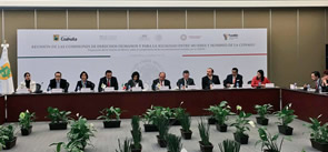 Reunión de las Comisiones de Derechos Humanos y Para la Igualdad entre Mujeres y Hombres, Ciudad de México, 10 de febrero de 2016.