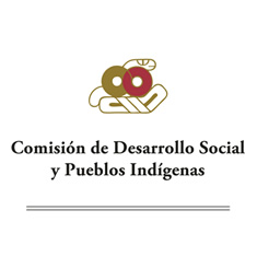 Desarrollo Social y Pueblos Indígenas