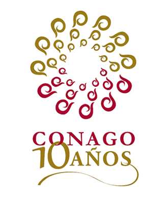 Logotipo oficial de los 10 años